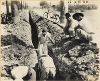 藏品(高雄市政發展系列217)的圖片