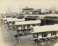 藏品(高雄市政發展系列222)的圖片