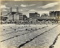 藏品(高雄市政發展系列239)的圖片