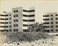 藏品(高雄市政發展系列251)的圖片