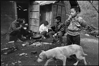 藏品(《賽德克靜觀系列》：〈平靜〉)的圖片