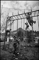 藏品(《賽德克靜觀系列》：〈廬山〉)的圖片