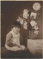 藏品(營業肖像)的圖片