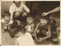 藏品(欺人太盛)的圖片