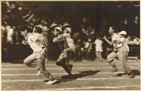 藏品(兄弟競賽)的圖片