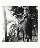 藏品(新竹)的圖片