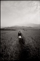 藏品(我的淡水歲月青春02)的圖片