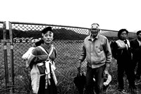 藏品(敢動年代系列17)的圖片