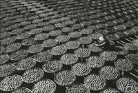 藏品(舊鄉20:新竹新埔)的圖片