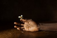 藏品(互為肢體:捻花者)的圖片