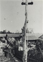 藏品(邱德雲5X7”相片38)的圖片