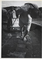 藏品(邱德雲5X7”相片77)的圖片