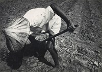 藏品(邱德雲5X7”相片82)的圖片