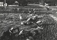 藏品(邱德雲5X7”相片84)的圖片