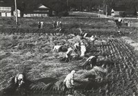 藏品(邱德雲5X7”相片85)的圖片