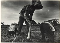 藏品(邱德雲5X7”相片88)的圖片