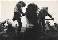 藏品(邱德雲5X7”相片90)的圖片