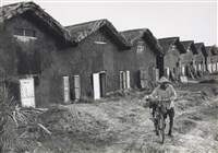 藏品(邱德雲5X7”相片94)的圖片