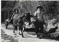 藏品(邱德雲5X7”相片95)的圖片