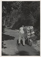 藏品(邱德雲5X7”相片97)的圖片