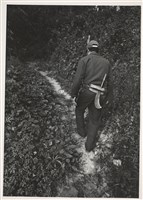 藏品(邱德雲5X7”相片105)的圖片