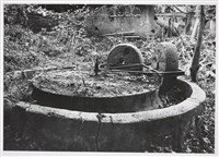 藏品(邱德雲5X7”相片135)的圖片