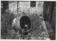 藏品(邱德雲5X7”相片136)的圖片