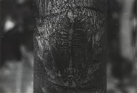 藏品(邱德雲5X7”相片137)的圖片