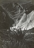 藏品(邱德雲5X7”相片144)的圖片