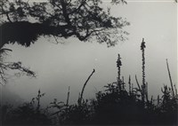 藏品(邱德雲5X7”相片147)的圖片