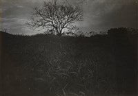 藏品(邱德雲5X7”相片148)的圖片