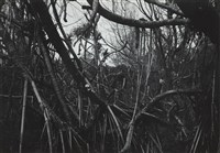 藏品(邱德雲5X7”相片150)的圖片