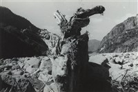 藏品(邱德雲5X7”相片151)的圖片