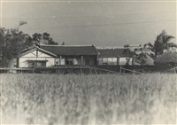 藏品(邱德雲5X7”相片153)的圖片