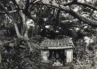 藏品(邱德雲5X7”相片163)的圖片