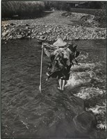 藏品(邱德雲單張相紙10)的圖片