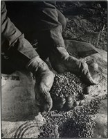 藏品(邱德雲單張相紙11)的圖片