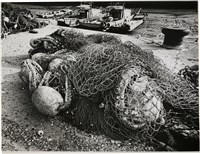 藏品(邱德雲單張相紙20)的圖片