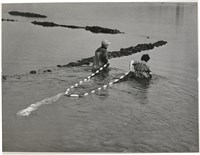 藏品(邱德雲單張相紙21)的圖片