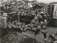 藏品(邱德雲單張相紙29)的圖片