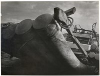 藏品(邱德雲單張相紙34)的圖片