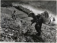 藏品(邱德雲單張相紙39)的圖片