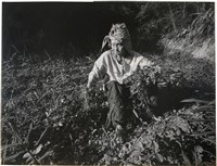 藏品(邱德雲單張相紙43)的圖片