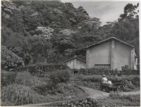 藏品(邱德雲單張相紙53)的圖片