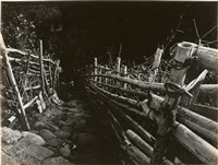 藏品(邱德雲單張相紙59)的圖片