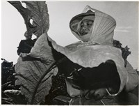 藏品(邱德雲單張相紙65)的圖片