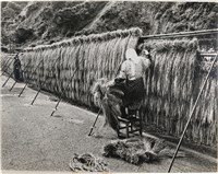 藏品(邱德雲單張相紙70)的圖片