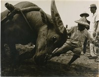 藏品(邱德雲單張相紙89)的圖片