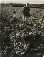 藏品(邱德雲單張相紙90)的圖片