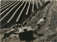 藏品(邱德雲單張相紙94<夫倡婦隨>)的圖片